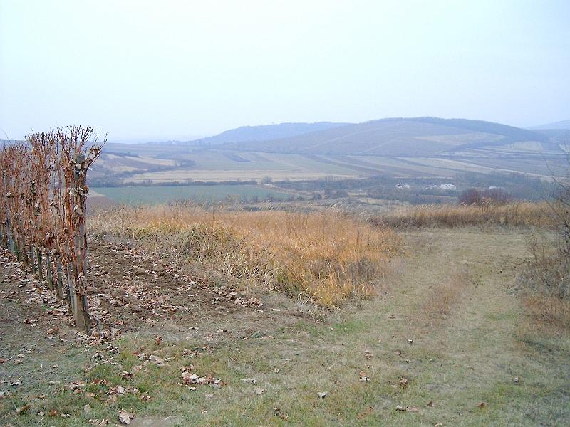 20111210 043.jpg